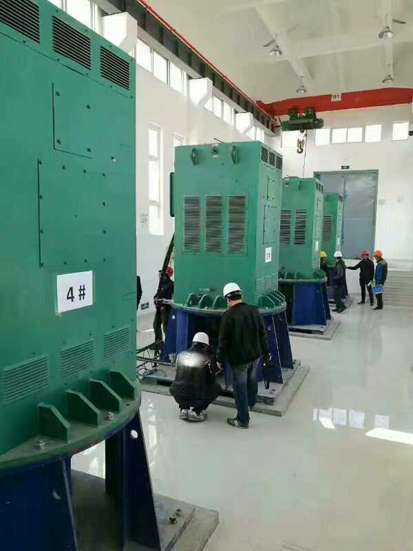 曲江某污水处理厂使用我厂的立式高压电机安装现场