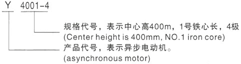 西安泰富西玛Y系列(H355-1000)高压曲江三相异步电机型号说明