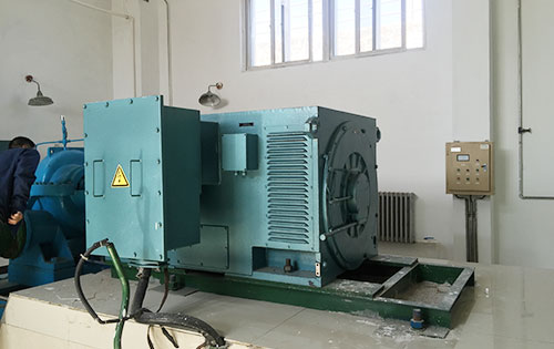 曲江某水电站工程主水泵使用我公司高压电机一年质保